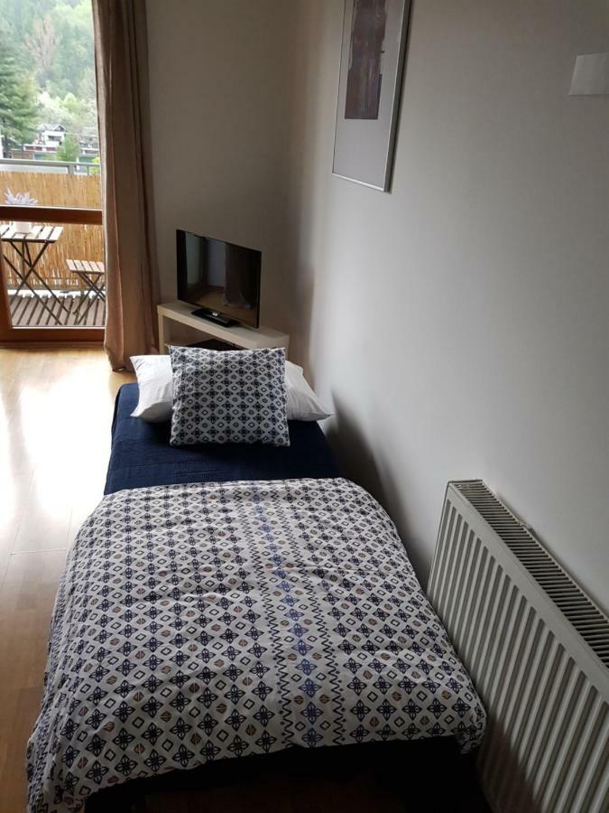 Apartment 353 Liptov Town ลิฟตอฟสกีมิคูลาช ภายนอก รูปภาพ